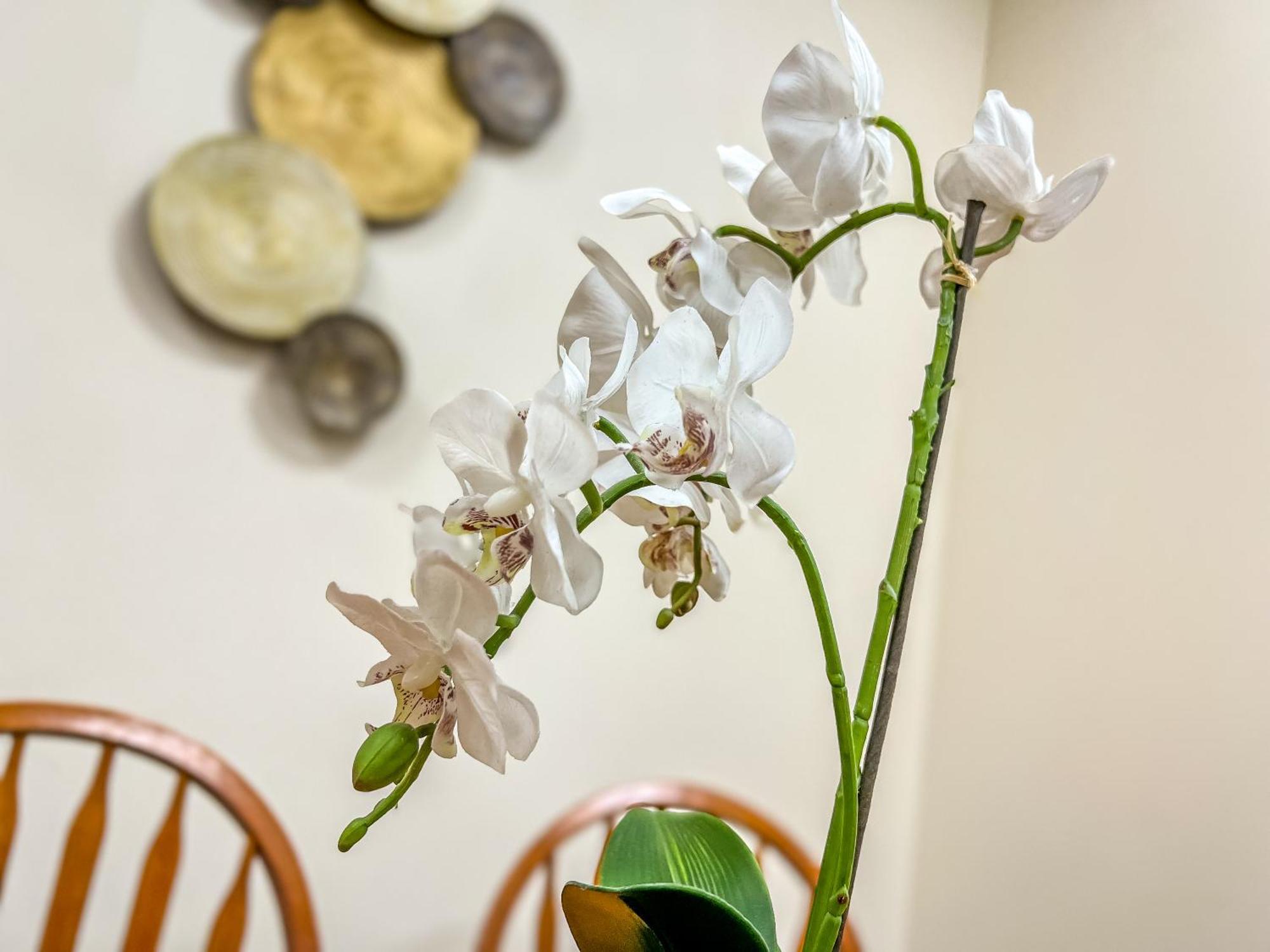 County Hall Apartment Hotel Бостън Екстериор снимка